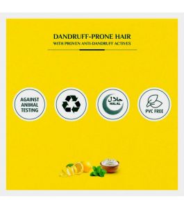 Vatika Shampoo Dandruff Guard 400Ml   Twin Pack