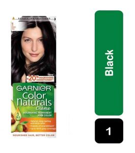 Garnier Hair Color Black 1
