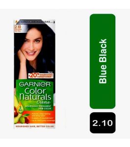 Garnier Hair Color Blue Black 2.10