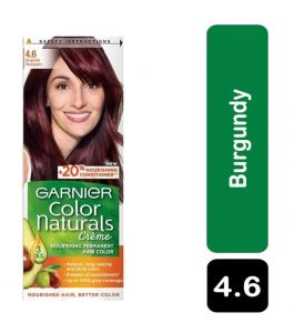 Garnier Hair Color Burgundy 4.6