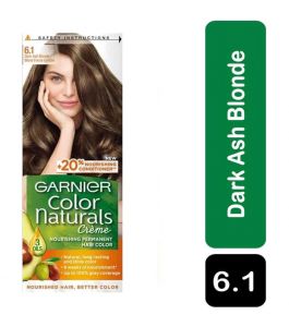 Garnier Hair Color Dark Ash Blonde 6.1