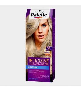 Palette Intensive Color 10 1 FroSilBlnd