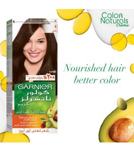 Garnier Hair Color Brown 4