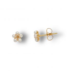 STUDEX EARSTD S6301 SEN G P DAISY WHITE PEARL CZ (17)