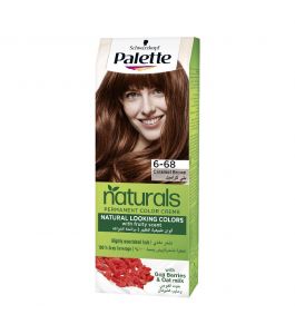 Palette Natural Color 6 68 CaramBrown